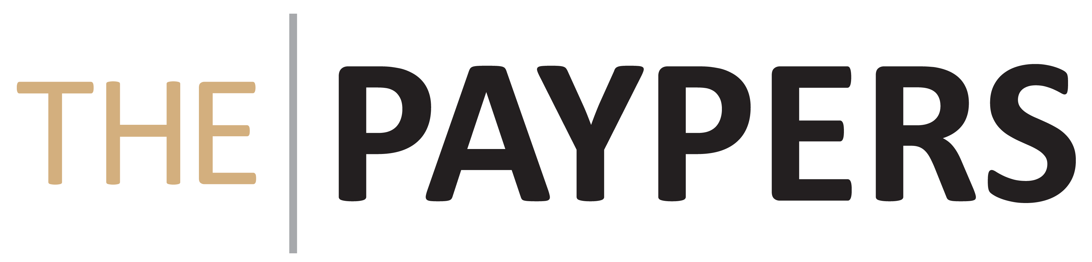 The Paypers Publication Logo