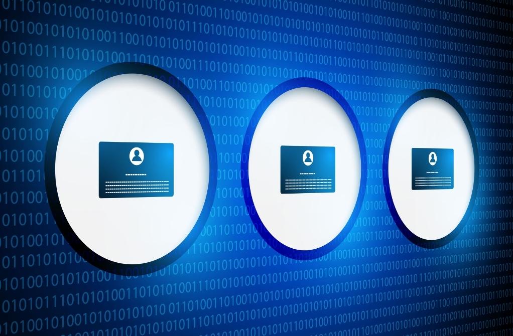 Identity cards that are protected by biometrics.
